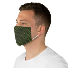Load image into Gallery viewer, Dragon Scales Fabric Face Mask Printed Cloth Green Serpent
